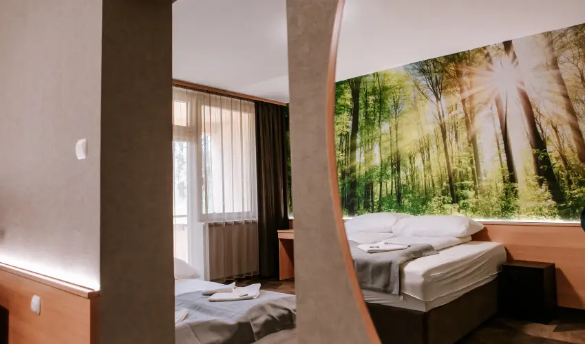 Park Hotel Sst Nyregyhza - Karcsony (min. 2 j)