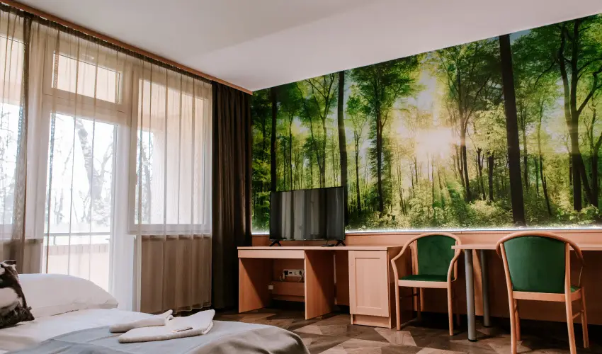 Park Hotel Sst Nyregyhza - Karcsony (min. 2 j)