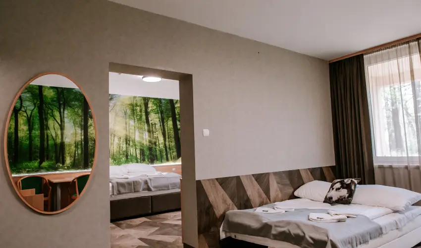 Park Hotel Sst Nyregyhza - Karcsony (min. 2 j)