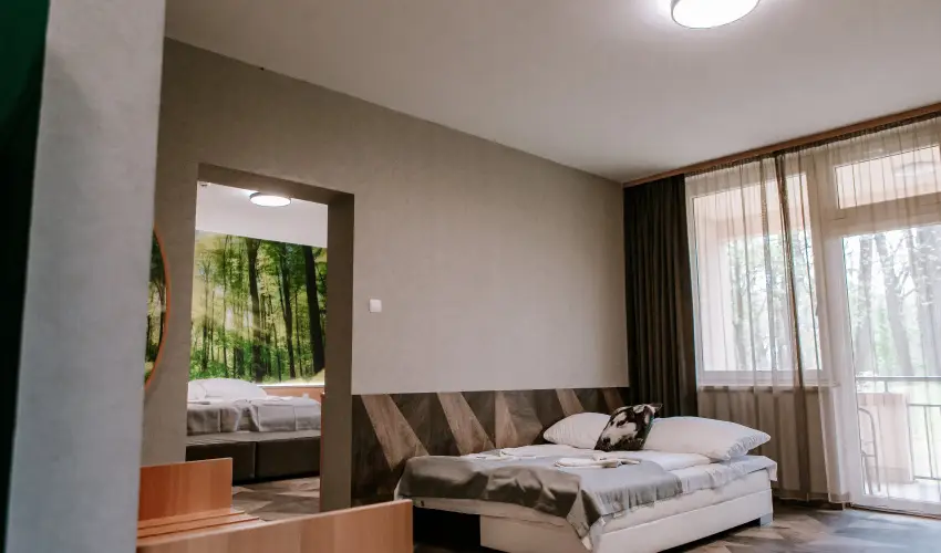 Park Hotel Sst Nyregyhza - Karcsony (min. 2 j)