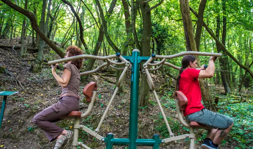 Patak Park Hotel Visegrd - Karcsony (min. 2 j)