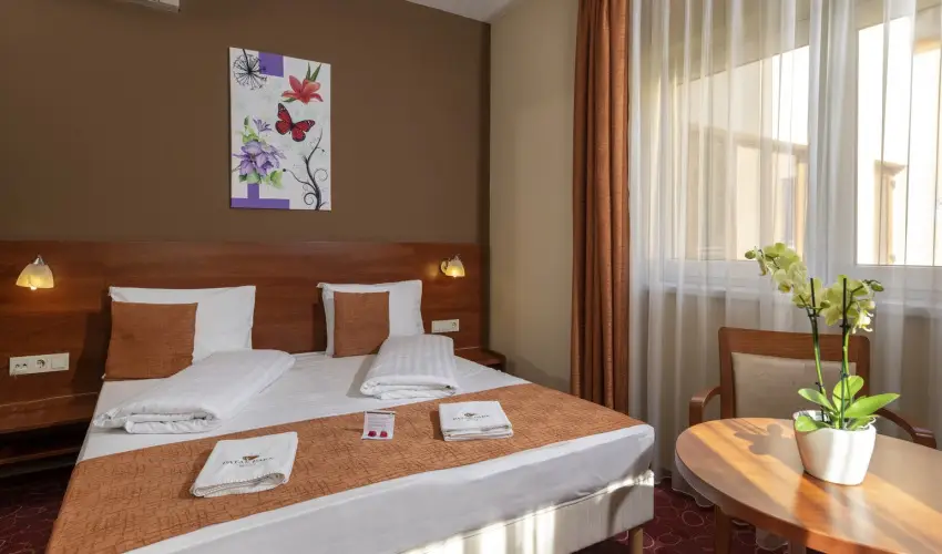 Patak Park Hotel Visegrd - Karcsony (min. 2 j)