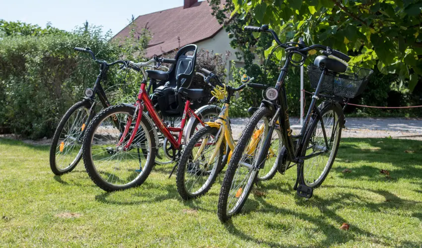 Pelso Panzi Balatonmriafrd - Karcsony (min. 3 j)