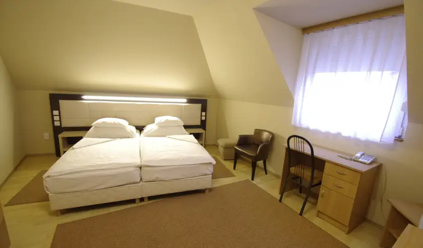 Hotel Vad�szk�rt Sz�kesfeh�rv�r - Kar�csony