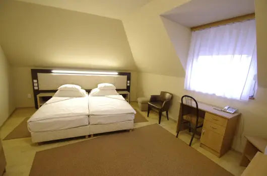 Hotel Vad�szk�rt - Kar�csony