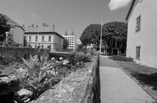 Pitypang Apartman - Karcsony (min. 2 j)