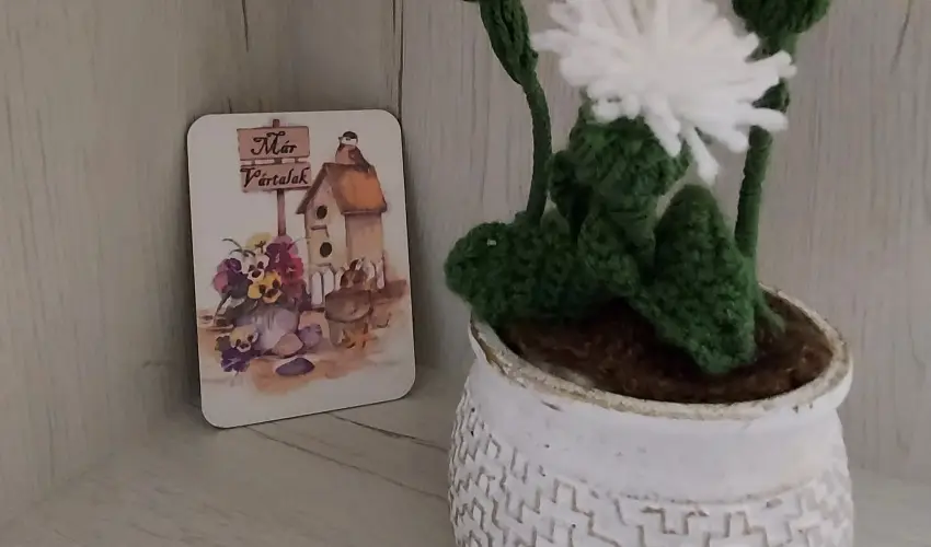 Pitypang Apartman Eger - Karcsony (min. 2 j)