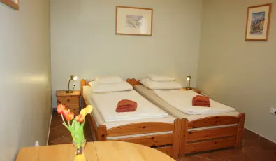 P�lus Panzi� Sopron