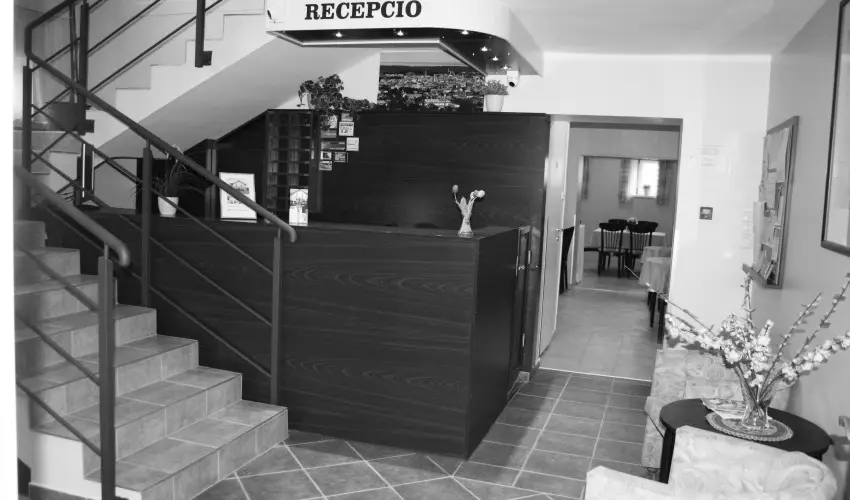 P�lus Panzi� Sopron - Kar�csony