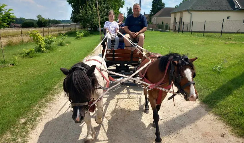 Pni Kuck Vendghz s Minifarm  Hosszvlgy - Karcsony