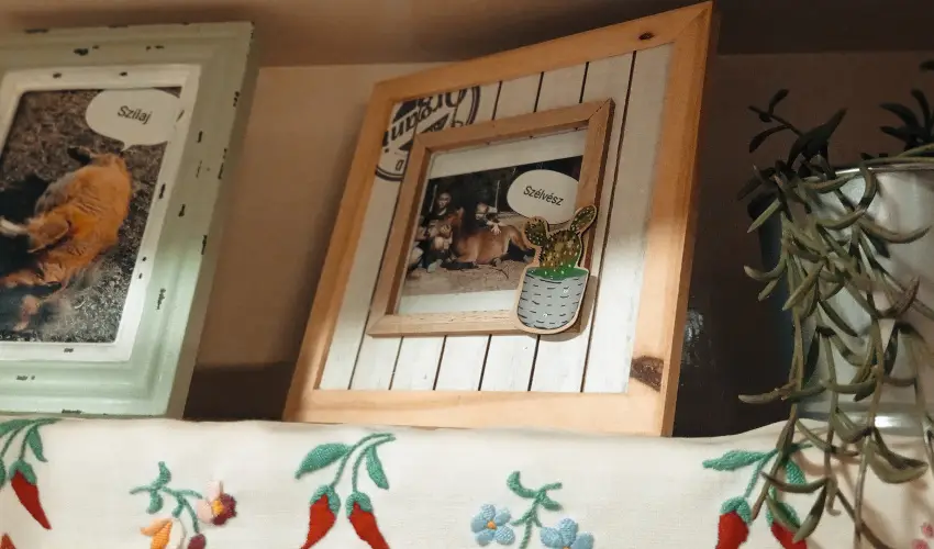 Pni Kuck Vendghz s Minifarm  Hosszvlgy - Karcsony