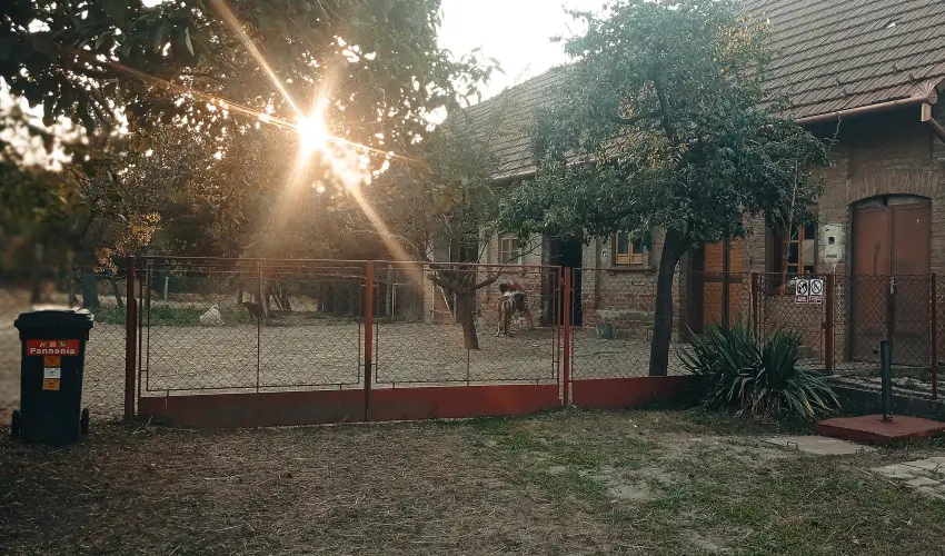 Pni Kuck Vendghz s Minifarm  Hosszvlgy - Karcsony