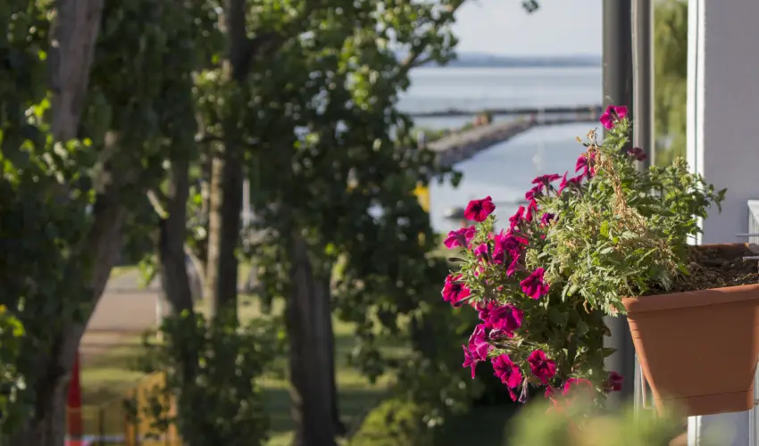 Port tterem & Panzi Balatonmriafrd - Karcsony (min. 2 j)