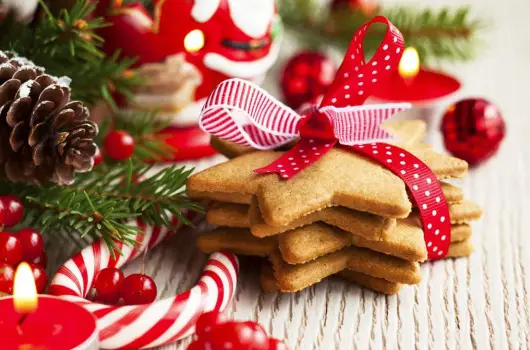 Prima Villa 2 - Karcsony (min. 4 j)