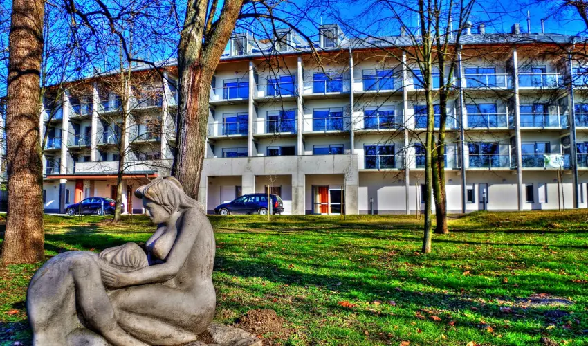 Harknyi Psoriasis Centrum Harkny - Karcsonyi feltltds (min. 2 j)