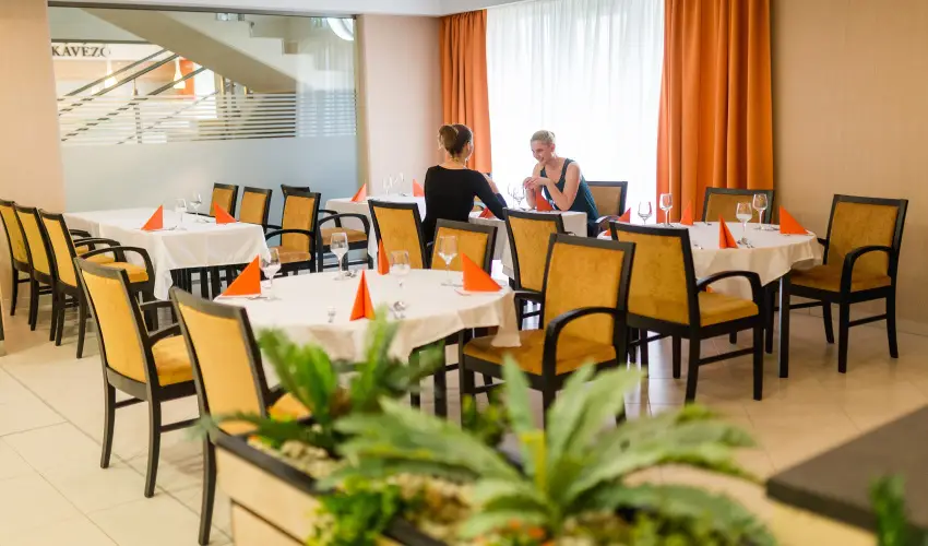 Harknyi Psoriasis Centrum Harkny - Karcsonyi feltltds (min. 2 j)