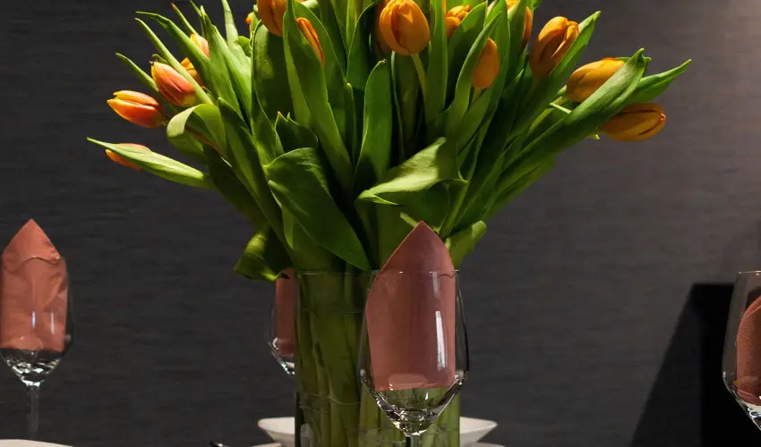 R31 Residence Srvr - Karcsony (min. 2 j)