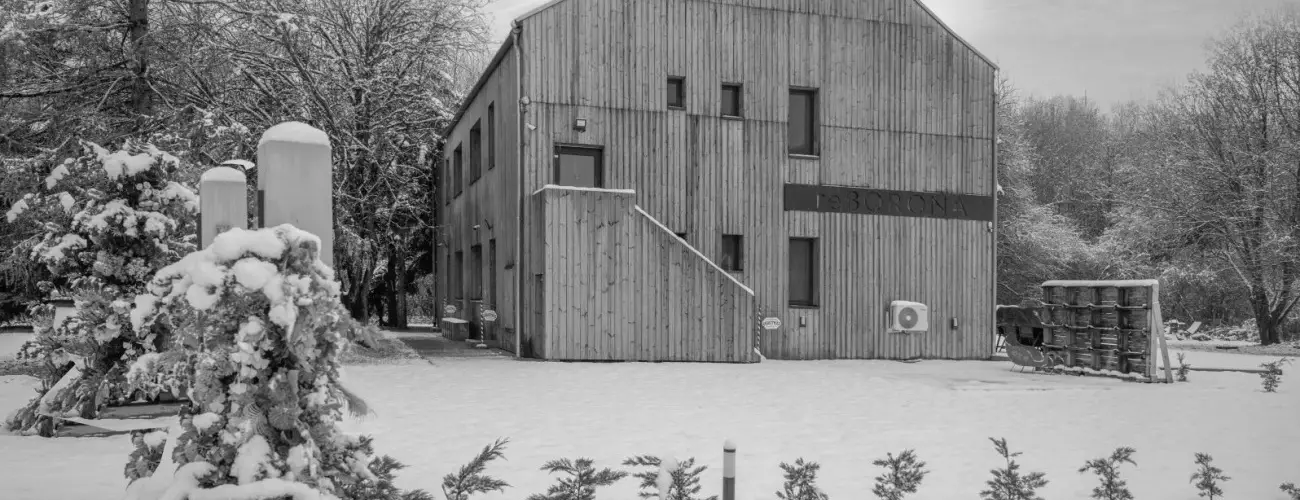 reBORONA Vendghz rsg riszentpter - Karcsony (min. 3 j)