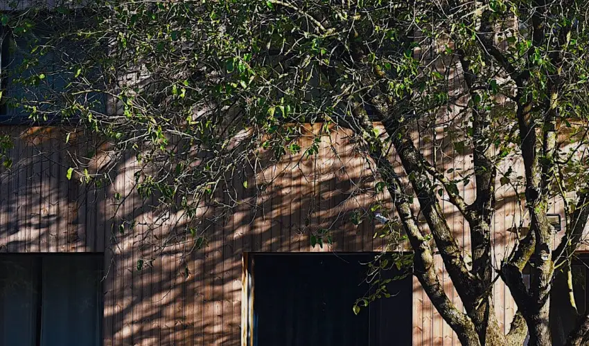 reBORONA Vendghz rsg riszentpter - Karcsony (min. 3 j)