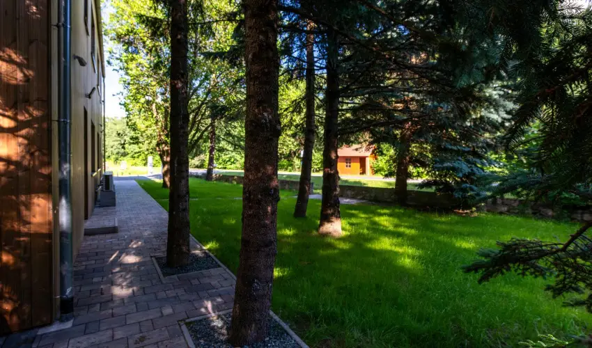 reBORONA Vendghz rsg riszentpter - Karcsony (min. 3 j)