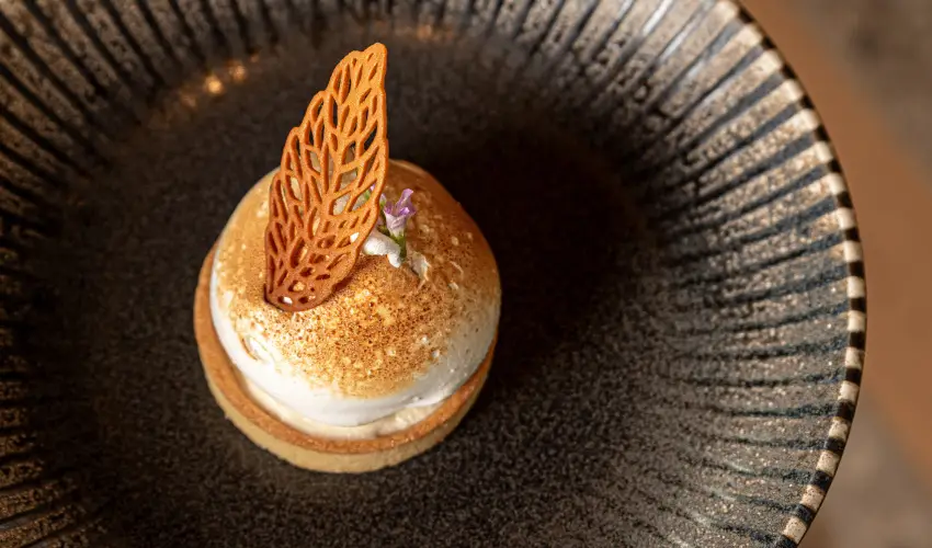 REED Luxury Hotel & Bistro Sifok - Karcsony