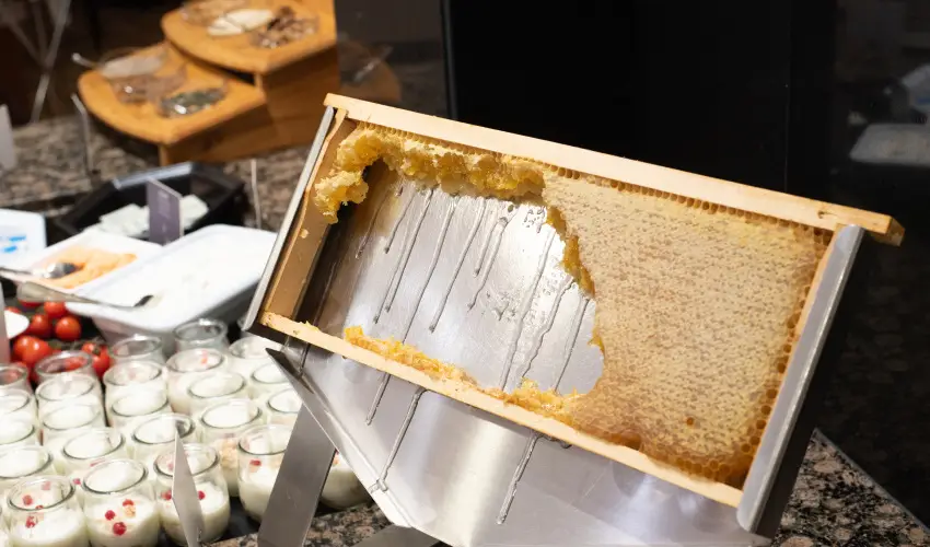 Lotus Therme Hotel & Spa Hvz - Karcsony (min. 2 j)