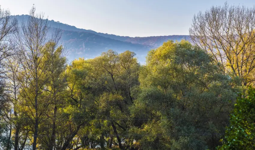 Royal Club Hotel Visegrád - Karácsony - teljes előrefizetéssel (min. 3 éj)