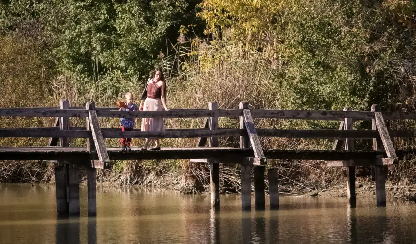 Sasr�ti Vad�szkast�ly Almamell�k - Kar�csony