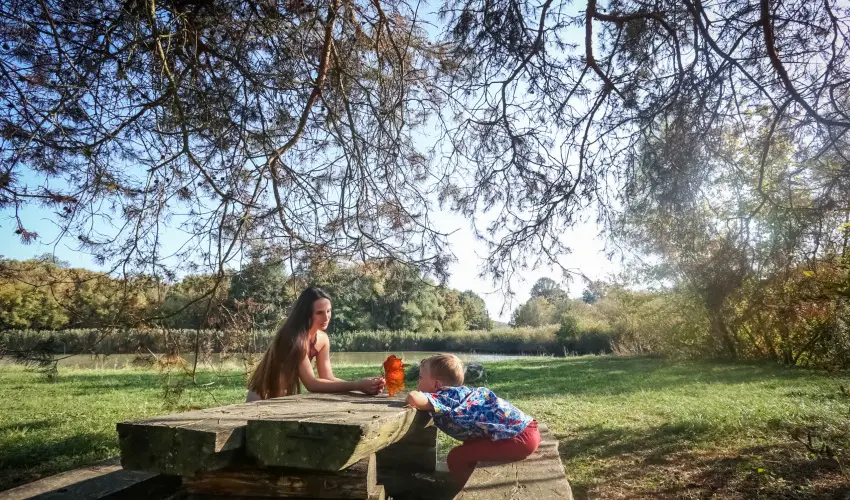 Sasr�ti Vad�szkast�ly Almamell�k - Kar�csony