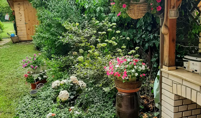 Siesta Vendghz Eger - Karcsony