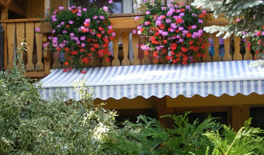 Siesta Vendghz Eger - Karcsony