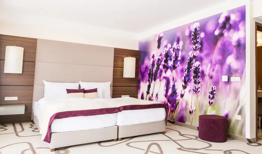 Ambient Hotel & ThermalSPA**** Sikonda - Karcsony (min. 2 j)