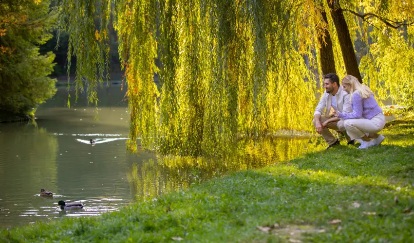 Ambient Hotel & ThermalSPA**** Sikonda - Karcsony (min. 2 j)