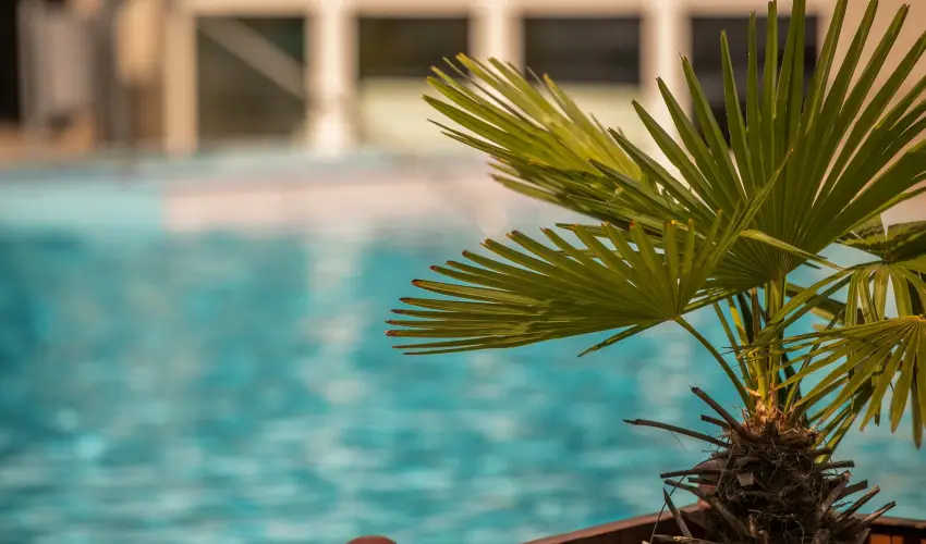 Ambient Hotel & ThermalSPA**** Sikonda - Karcsony (min. 2 j)