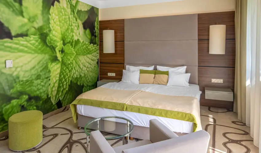 Ambient Hotel & ThermalSPA**** Sikonda - Karcsony (min. 2 j)