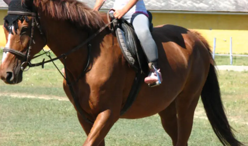 Sokoró Fogadó Sokorópátka - Karácsony