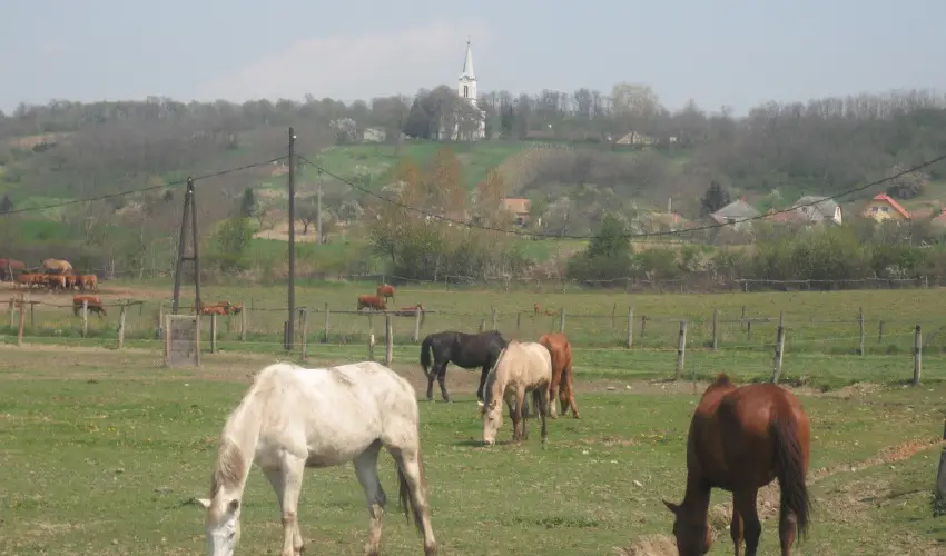 Sokoró Fogadó Sokorópátka - Karácsony