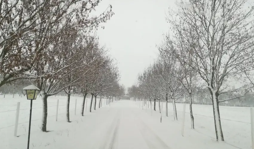 Sokoró Fogadó Sokorópátka - Karácsony
