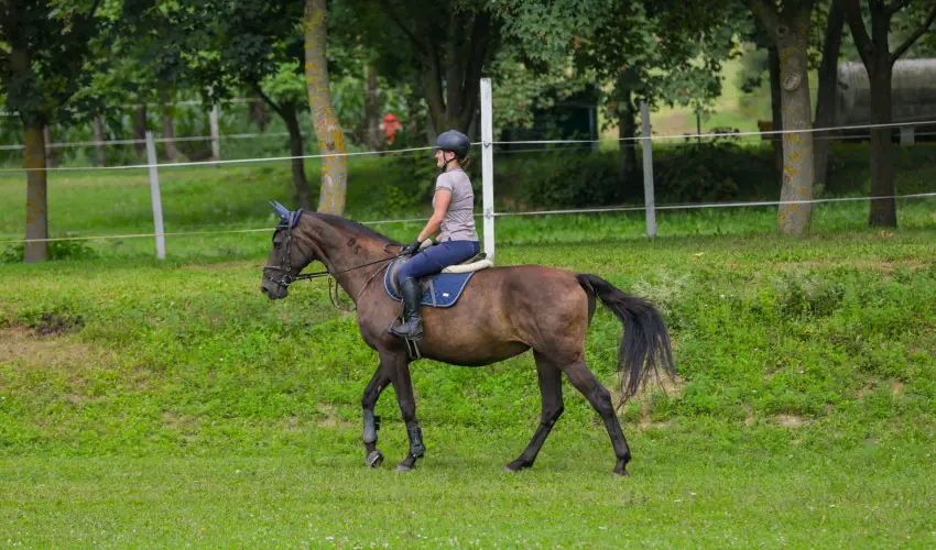 Sokoró Fogadó Sokorópátka - Karácsony