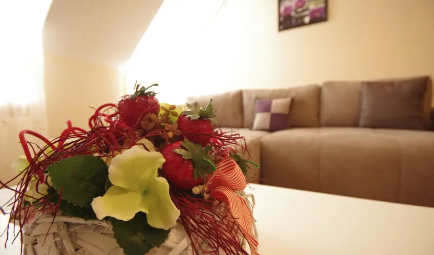 Szamcs Apartman Gyula - Karcsony (min. 2 j)