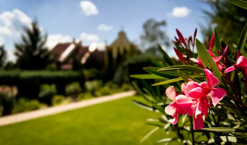 Szent Istvn Hotel Eger - Karcsony (min. 2 j)