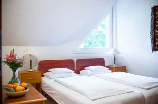 Wellness Hotel Szindbd - Karcsony (min. 2 j)