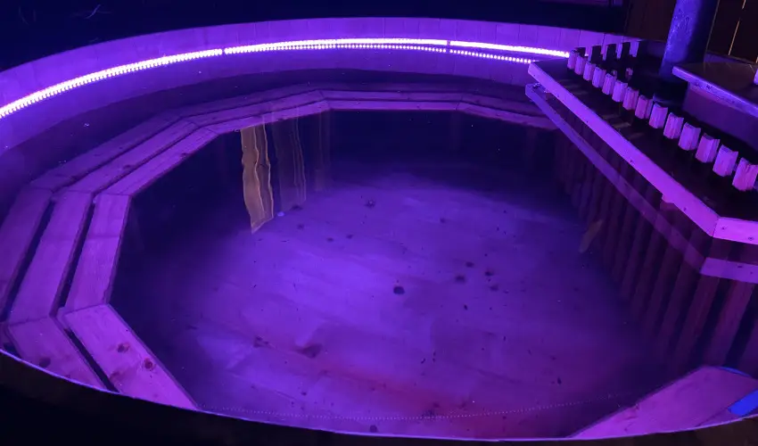 Tams Apartman Balatonfldvr - Karcsony