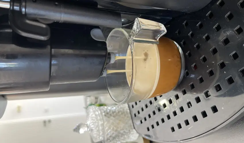 Svirg Terml Panzi Hajdnns - Karcsony