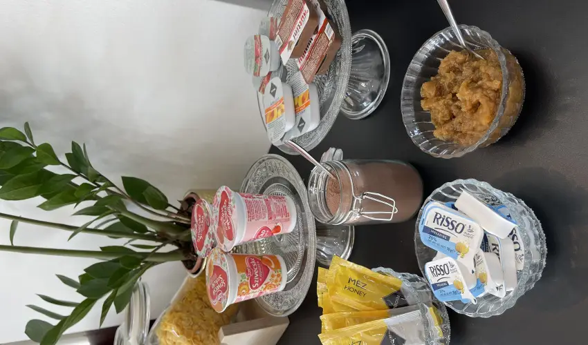 Svirg Terml Panzi Hajdnns - Karcsony