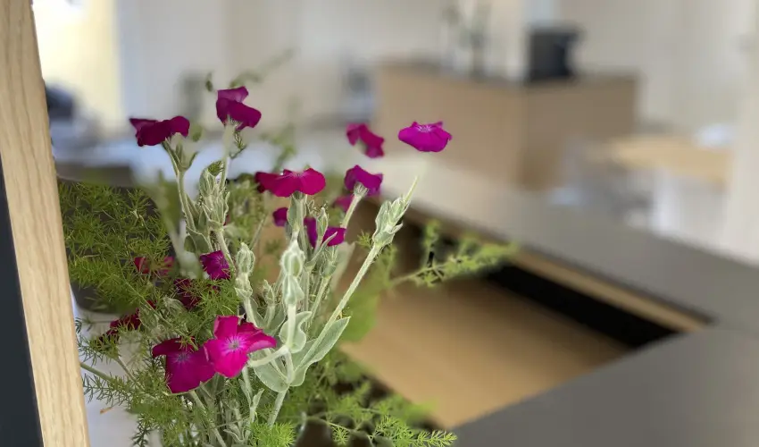 Svirg Terml Panzi Hajdnns - Karcsony