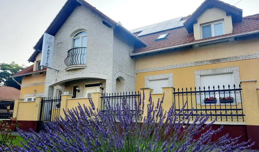 Svirg Terml Panzi Hajdnns - Karcsony