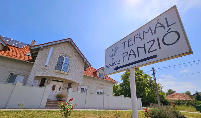 Svirg Terml Panzi Hajdnns - Karcsony