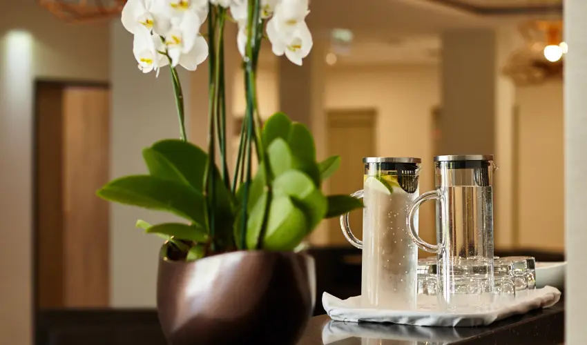 Thermal Hotel Balance  Lenti - Karcsony (min. 2 j)