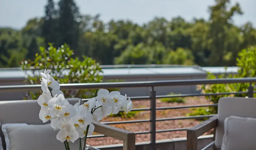 Thermal Hotel Balance  Lenti - Karcsony (min. 2 j)